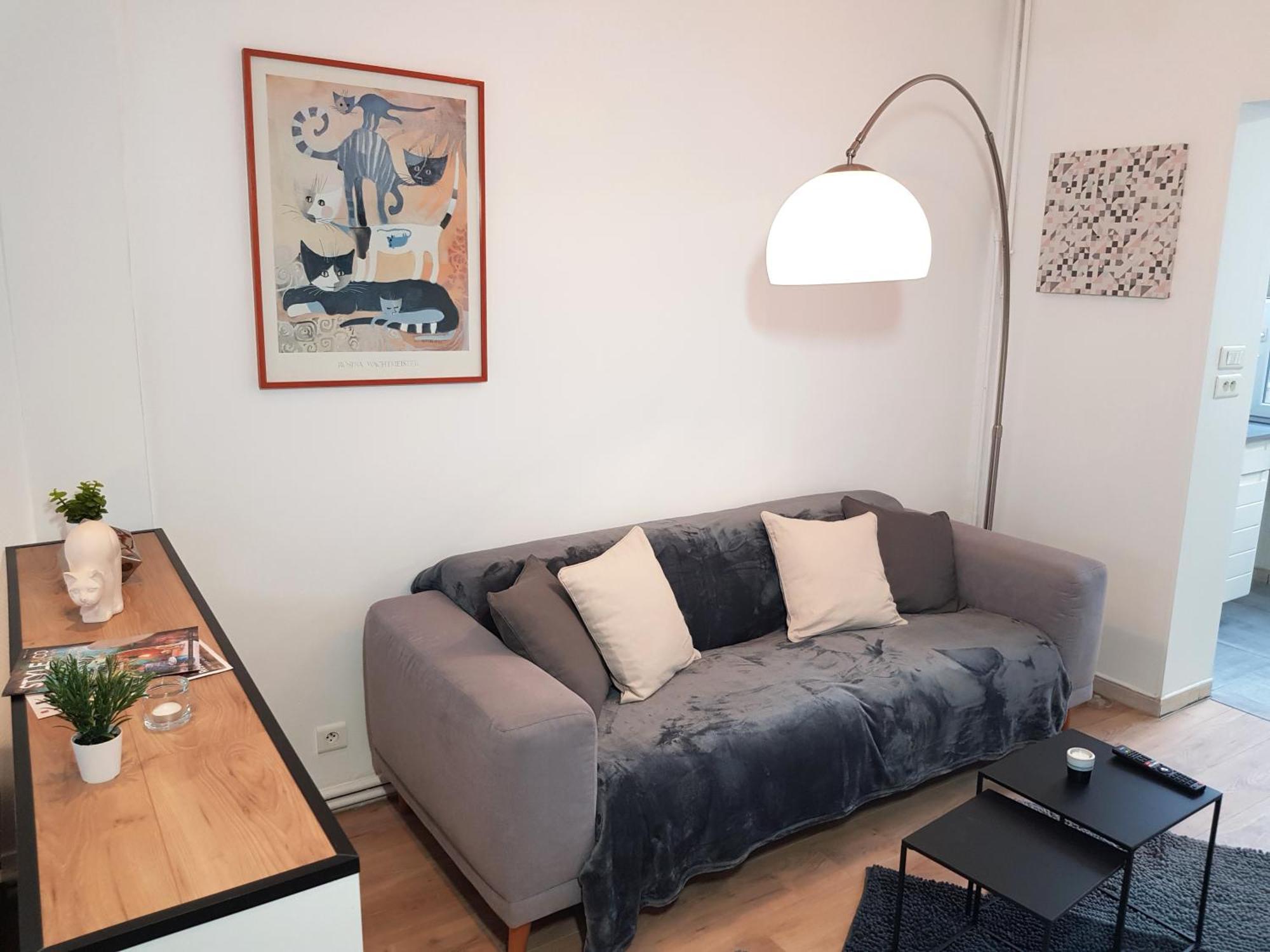 Le Chat D'Or - 35M2 - Terrasse - Bbq - Wifi Hd Amiens Exteriör bild